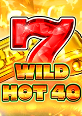 Wild Hot 40 Christmas